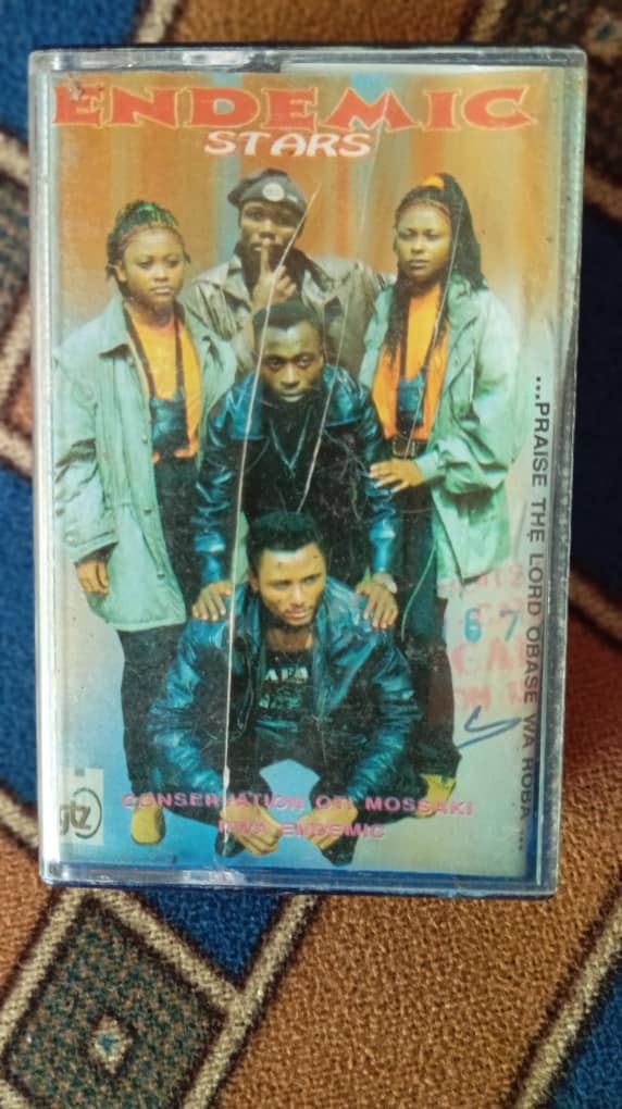 Endemic Stars Music Group