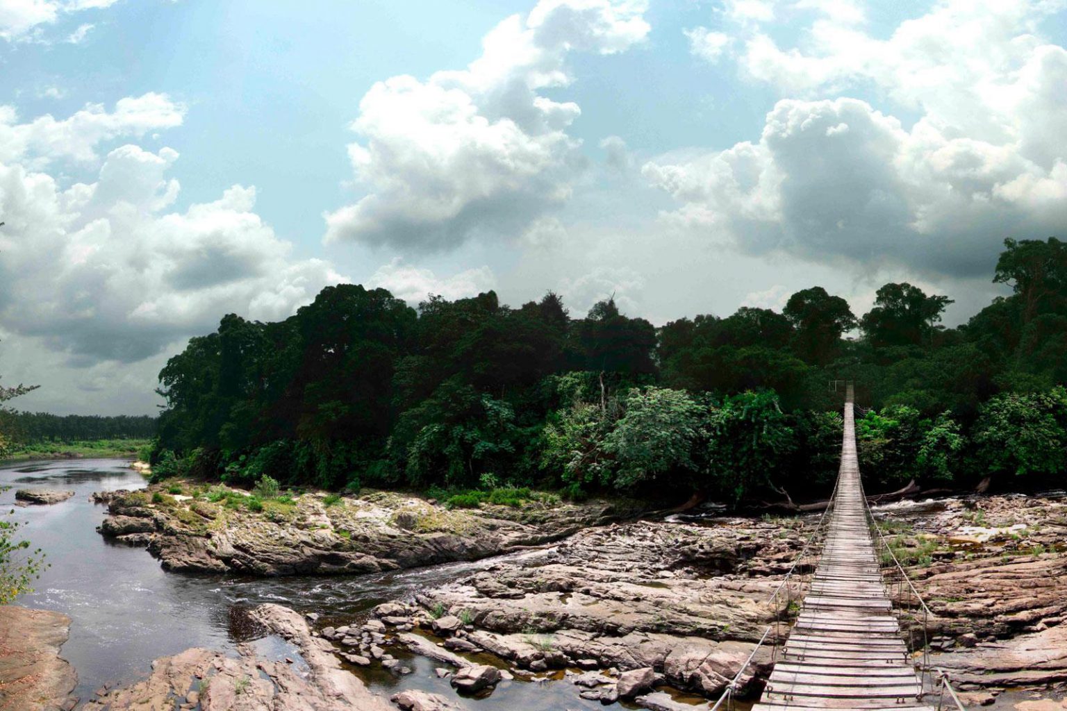 Protecting Korup's Ancient Wilderness