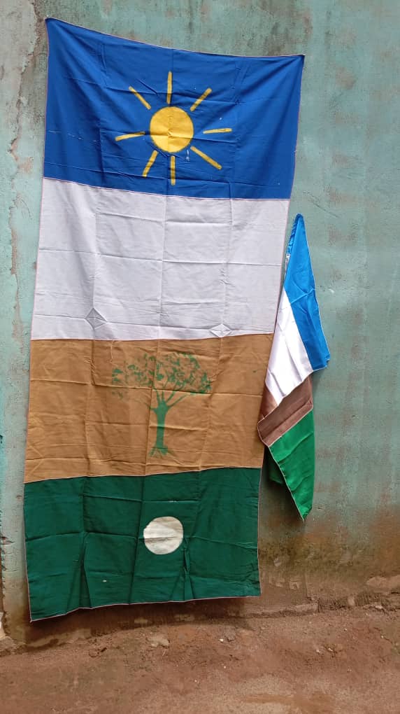Nature Forever Africa Flag