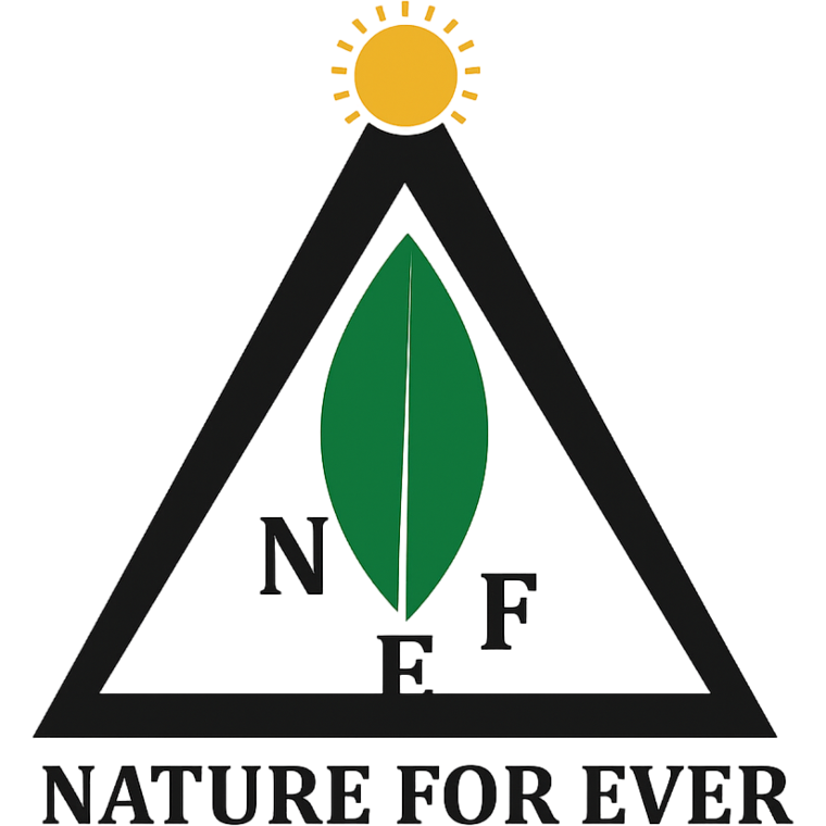 Nature Forever Africa Logo