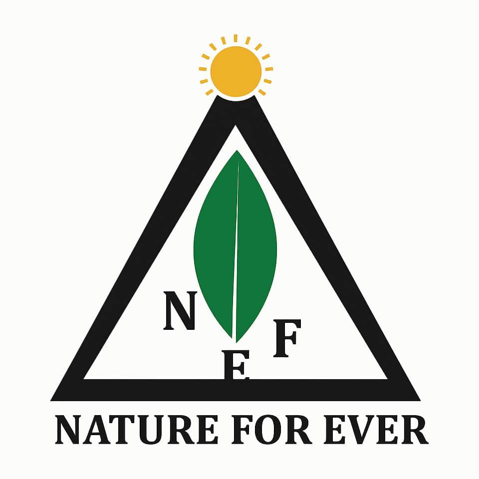 BESUSUH IYAMBA FOUNDATION - Nature Forever Africa Logo