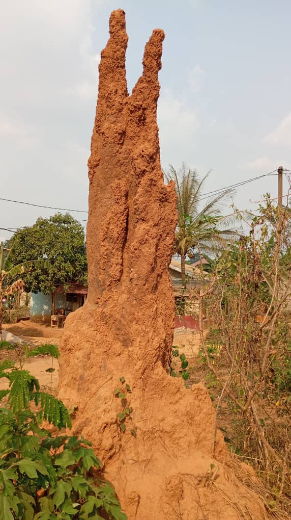 Natural Monument